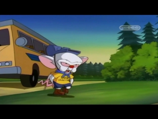 Пинки и Брейн (3 Сезон 29 Серия)