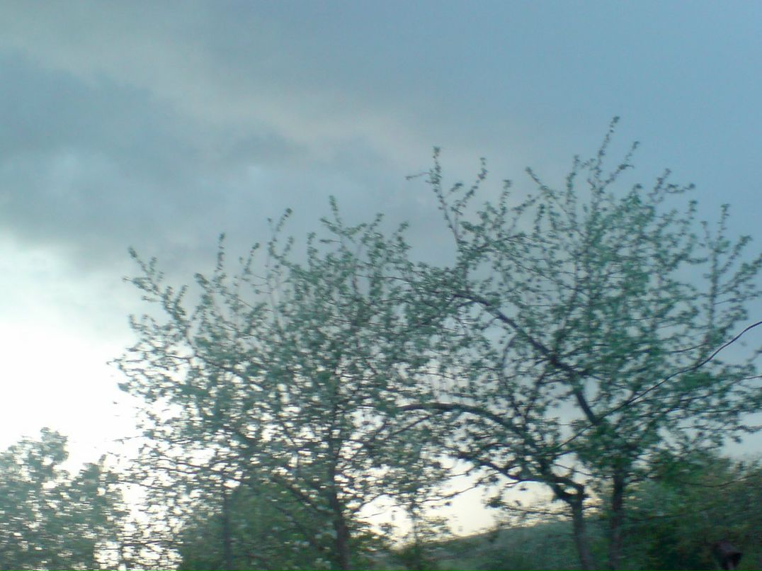 Денис Николаев фотография #8