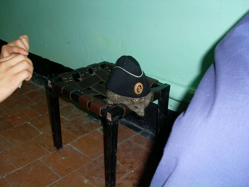 Иван Панченко фотография #49