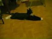 Фотография Саенко Марины