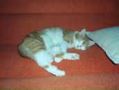 Фотография Махаловой Марии