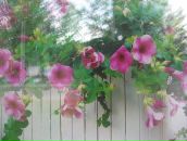 Тетяна Мацібора фотография #48 (источник - https://vk.com/id40878644)