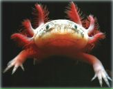 Фотография Пряниковой Маргариты