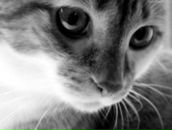 Фотография Миронычевой Алены