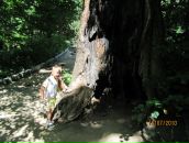 Платон Геніс фотография #11 (источник - https://vk.com/id113207512)