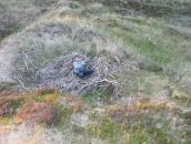 Сергій Алєнічев фотография #24 (источник - https://vk.com/id14559452)