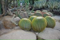 Фотография Николаевой Ольги