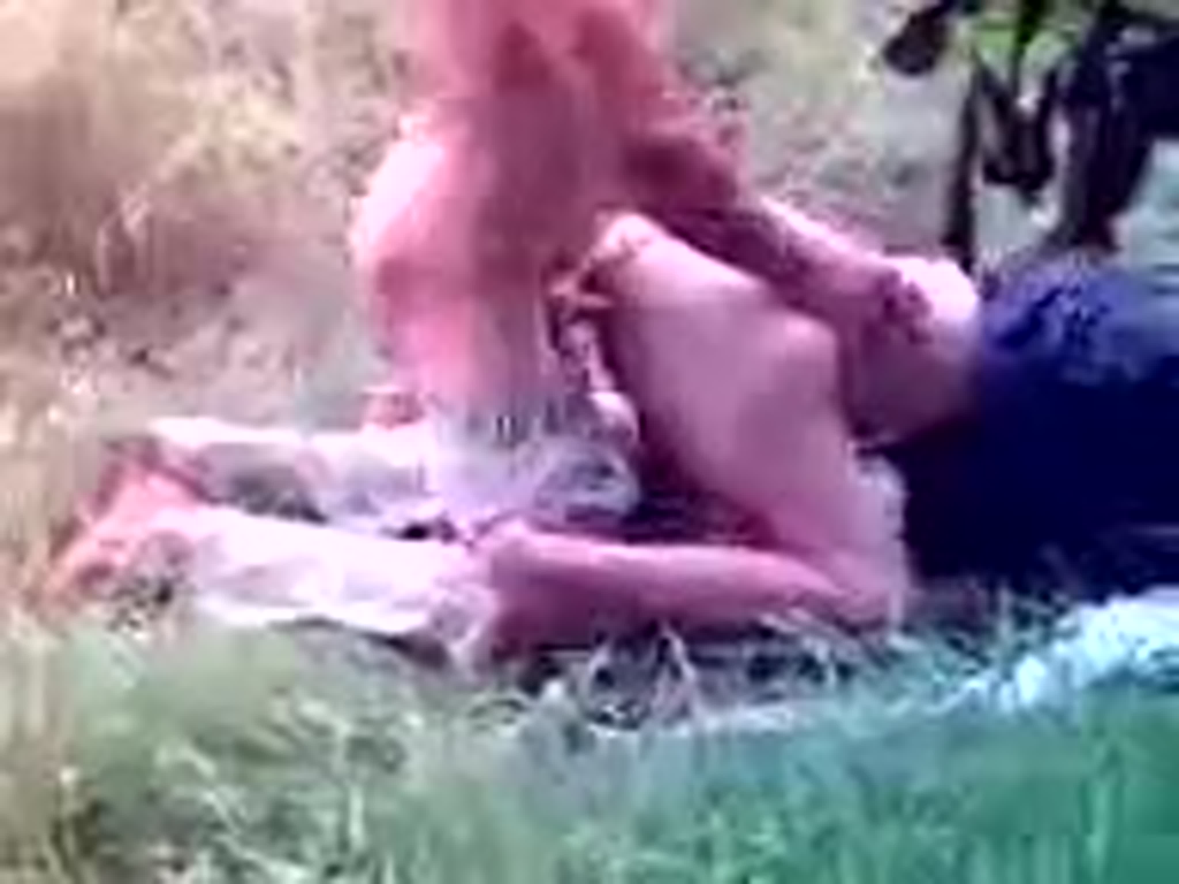 Показать Секс Чеченками Бесплатно