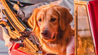 IV OF SPADES - Come Inside Of My Heart (Official Video 2019)