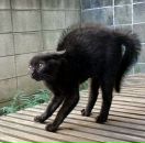 Фотография Семушкиной Светланы