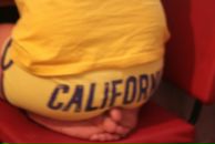 Фотография Спелаясадовой Сливы