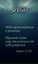 Фотография Амир Джабраилов