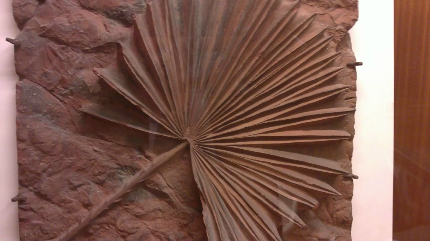 Александр П. фотография #31