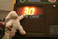 Фотография Чашкиной Дарьи