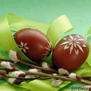 Вікторія Мажиріна фотография #18 (источник - https://vk.com/id29016830)