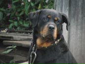 Фотография Войновой Валентины