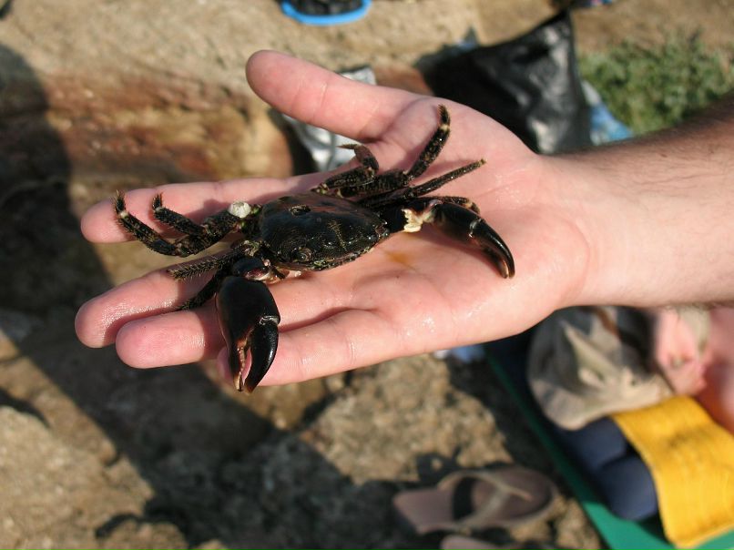 Александр Грищенко фотография #26