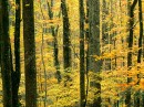 Андрій Трач фотография #7 (источник - https://vk.com/id49749030)