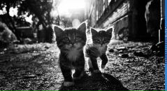 Фотография Яковлевой Ирины