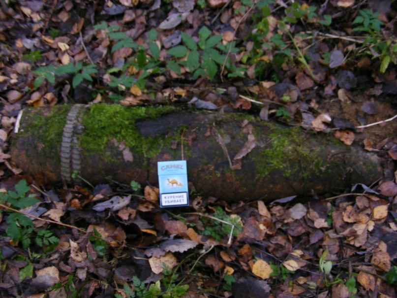 Костя Маккеев фотография #29