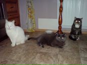 Надежда Тимофеева фотография #49 (источник - https://vk.com/id4454893)