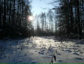 Фотография Кина Романа