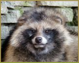 Фотография Гордеевой Ирины