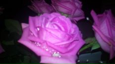 Фотография Славиной Анечки