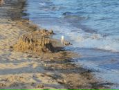 Ірина Дзюбак фотография #21 (источник - https://vk.com/id83933567)