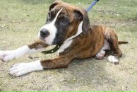 Кирилл Митяев фотография #12 (источник - https://vk.com/id6828811)