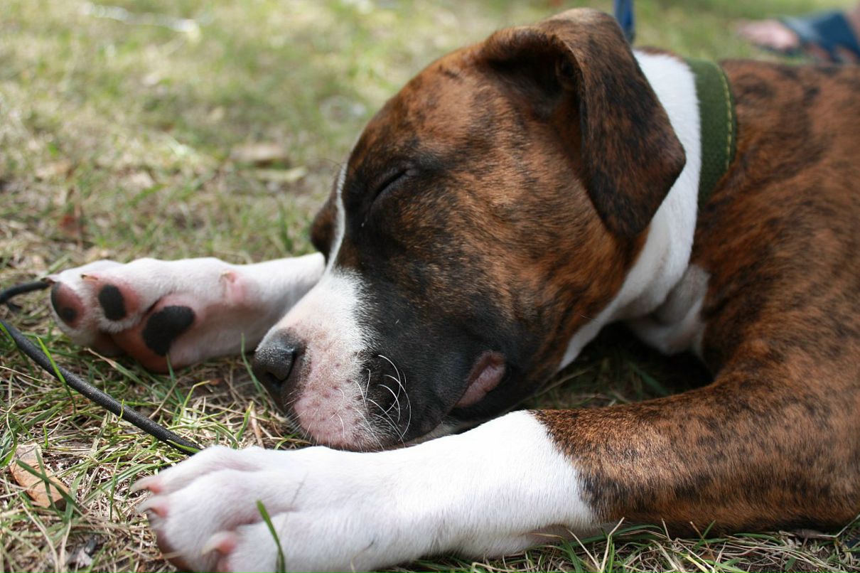 Кирилл Митяев фотография #29