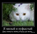 Назар Долинський фотография #26 (источник - https://vk.com/id65599477)