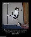 N[i]ki Baby фотография #39 (источник - https://vk.com/id66662499)