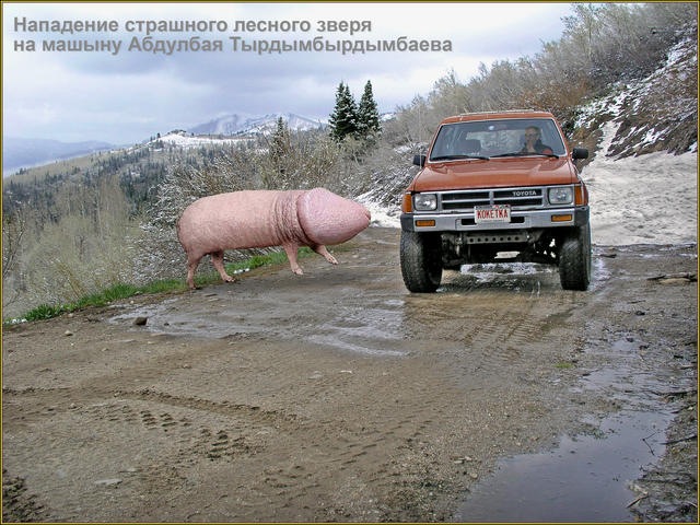 Коля Дурнев фотография #17