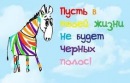 Ілончик Чепіль фотография #1