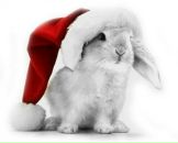 Фотография Михайловой Нины