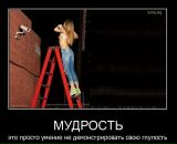 Анатолий Симоненко фотография #43 (источник - https://vk.com/id3399989)