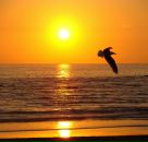 Фотография Констандиной Светланы