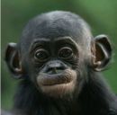 Саша Лесів фотография #14 (источник - https://vk.com/id16342174)