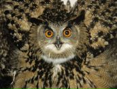 Фотография Зиганшиной Екатерины