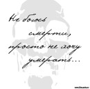 Вікторія Пригара фотография #19 (источник - https://vk.com/id68540817)