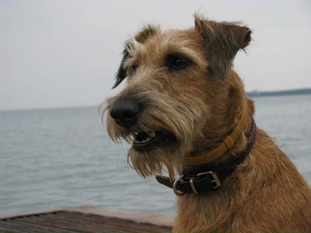 Алена Плоткина фотография #37