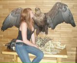 Фотография Podaroksolnca Katerina