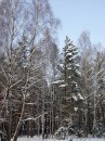Сергій Синиця фотография #37 (источник - https://vk.com/id48487905)