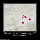Евгений Пышкин фотография #23 (источник - https://vk.com/id1825447)