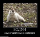 Фотография Гоненко Натальи