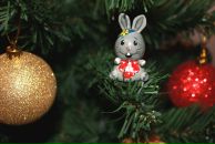 Фотография Волковой Дарьи