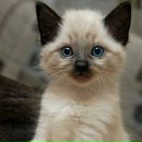 Наташа Герасимчук фотография #48 (источник - https://vk.com/id27719266)