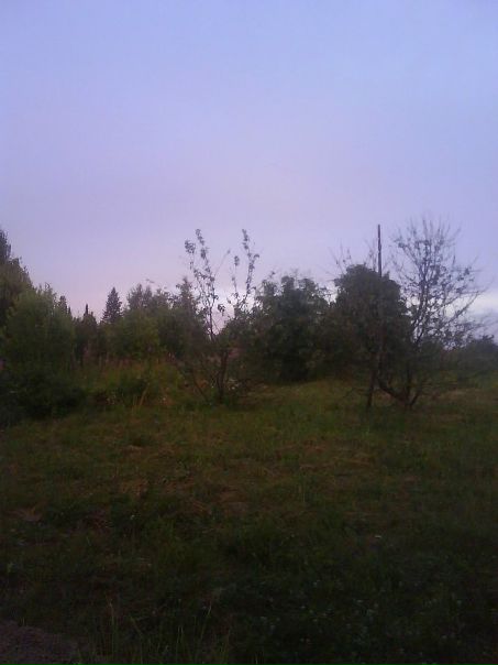 Наташа Темникова фото №29