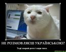 Остап Бабій фотография #37 (источник - https://vk.com/id58351270)